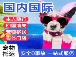 徐州机场物流国际宠物托运 【国